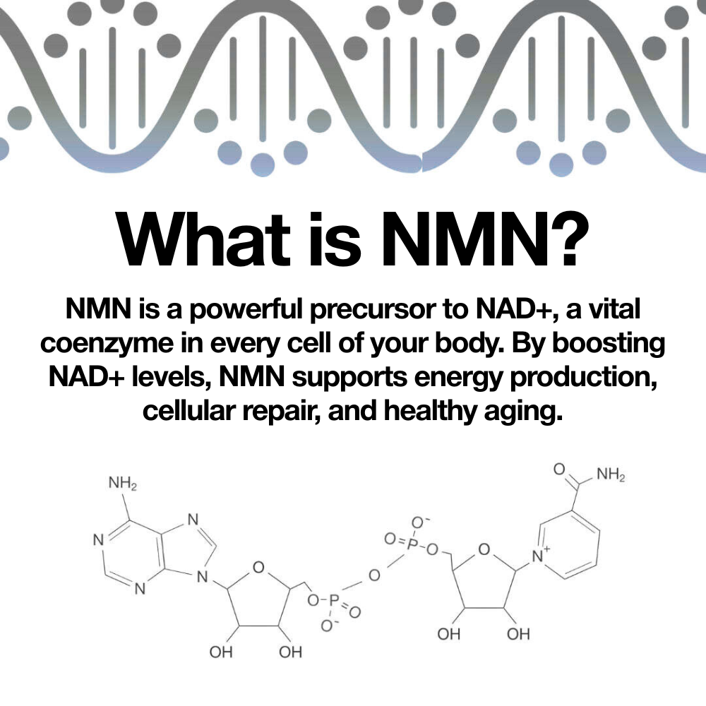 nurecover-pure-nmn-500-mg-capsules-nahrungserg-nzung image 5